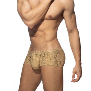 GOLD STONES TRUNK ADP21