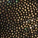 GOLD STONES BIKINI BRIEF ADP20